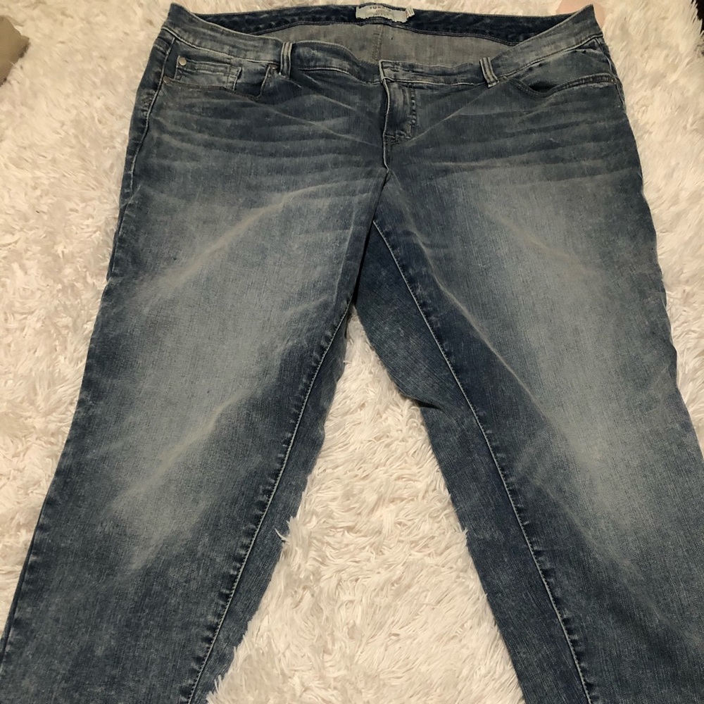 Torrid Jeans